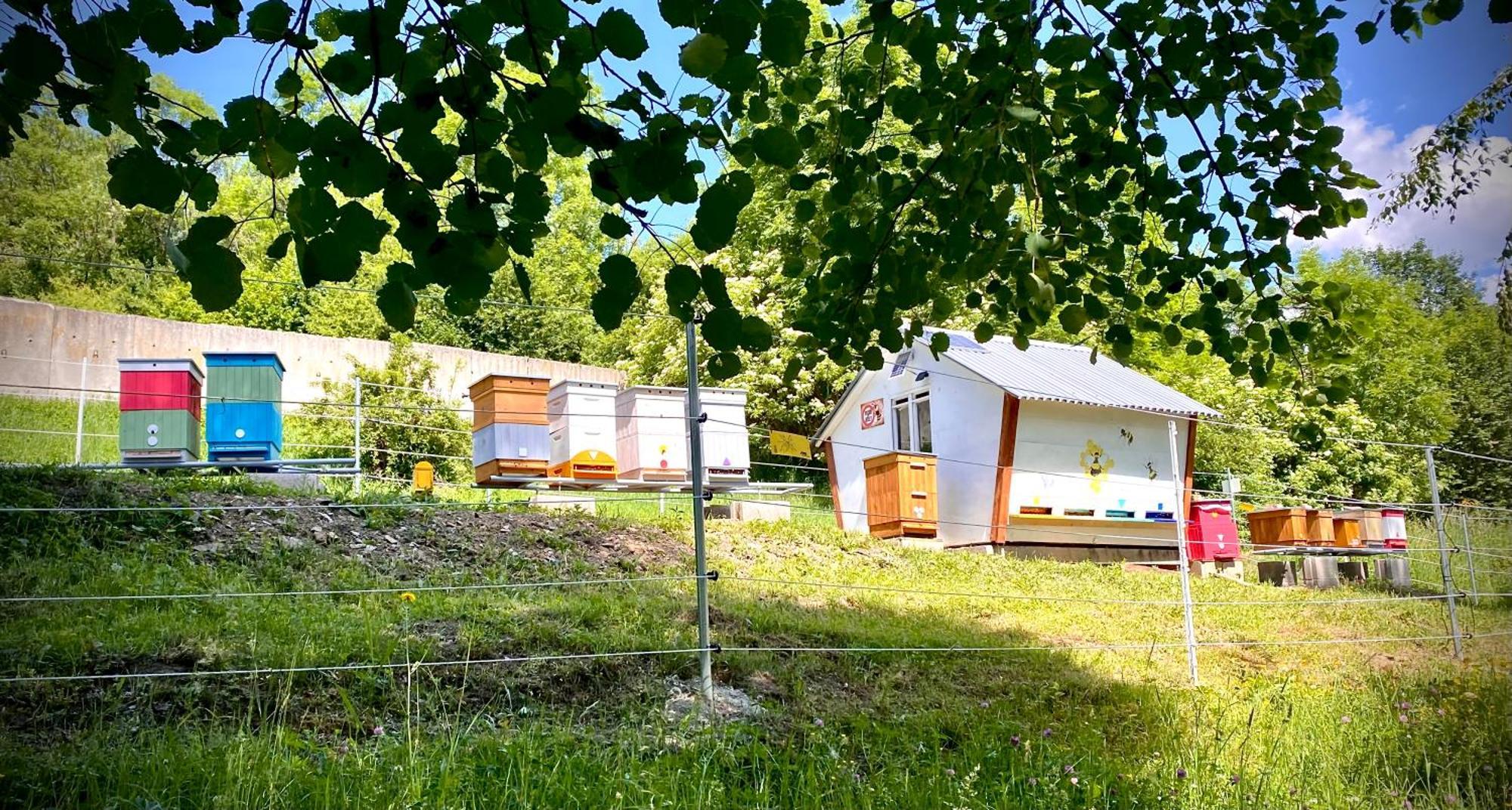 Apartmany Svrcinky Ліптовський Мікулаш Екстер'єр фото